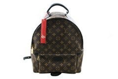 LOUIS VUITTON Palm Springs Backpack MM