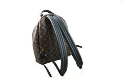 LOUIS VUITTON Palm Springs Backpack MM