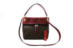 LOUIS VUITTON Monogram Canvas Tuileries Besace Bag