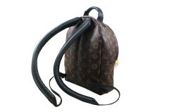 LOUIS VUITTON Palm Springs Backpack PM