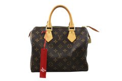 LOUIS VUITTON Monogram Canvas Speedy 25